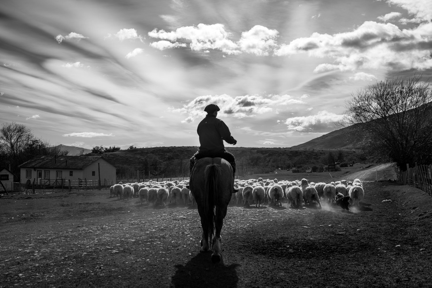 patagonia-15